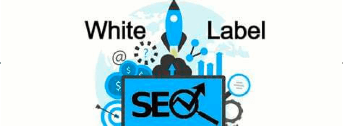 Unlock Success with White Label SEO Services