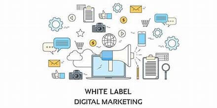 White Label Digital Marketing to Unleash Growth