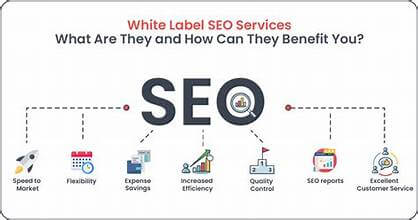 Unlock Success with White Label SEO Services